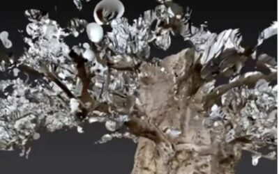 VIRTUAL TREE  – Digileeb Studio